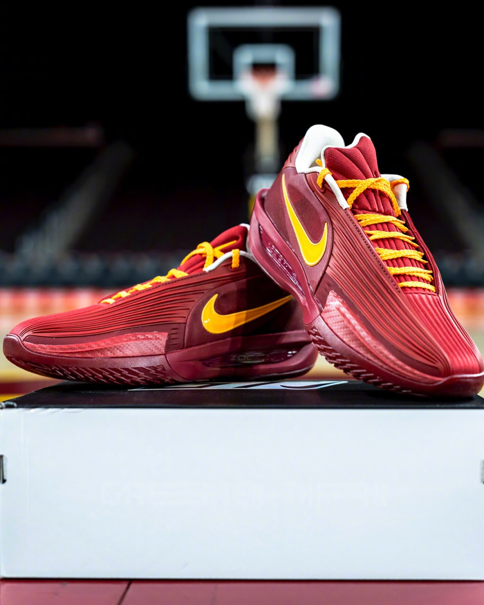 南加大女篮球员获多品牌球鞋赞助引热议