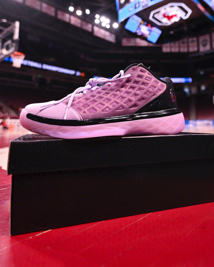 南加大女篮球员获多品牌球鞋赞助引热议